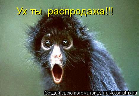 Ух ты распродажа!!!... Котоматрица: Ух ты распродажа!!!