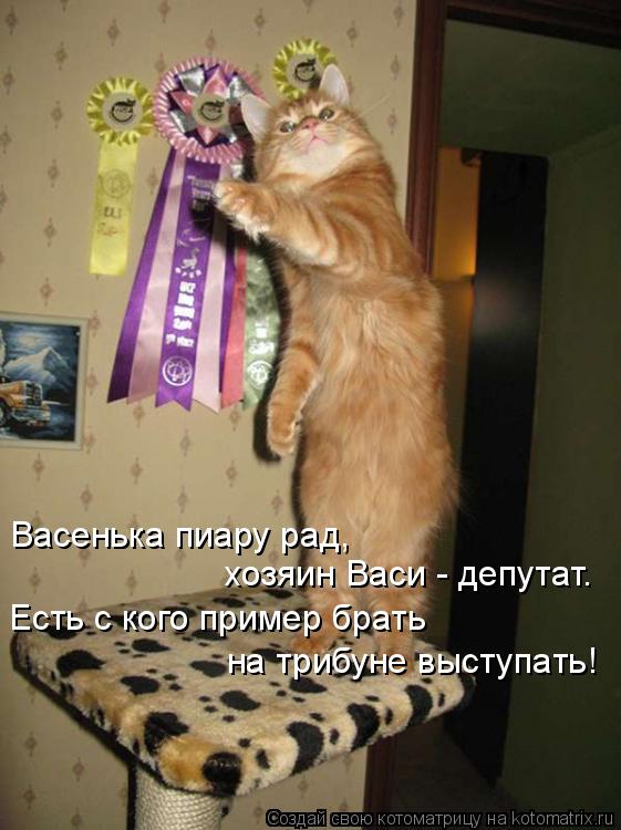Васенька пиару рад, хозяин Васи - депутат. Есть с кого пример брать на трибуне выступать!... Котоматрица: Васенька пиару рад, хозяин Васи - депутат. Есть с кого пример брать на трибуне выступать!