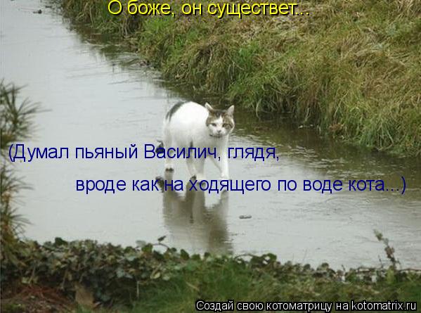 О боже, он существет... (Думал пьяный Василич, глядя, вроде как на ходящего по воде кота...)... Котоматрица: О боже, он существет... (Думал пьяный Василич, глядя, вроде как на ходящего по воде кота...)