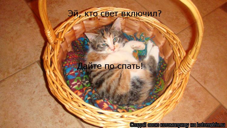 Эй, кто свет включил? Дайте по спать!... Котоматрица: Эй, кто свет включил? Дайте по спать!