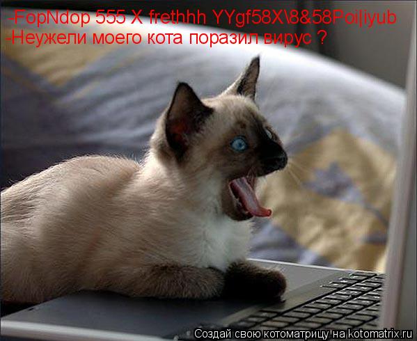 -FopNdop 555 X frethhh YYgf58X8&58Poi|iyub -Неужели моего кота поразил вирус ?... Котоматрица: -FopNdop 555 X frethhh YYgf58X8&58Poi|iyub -Неужели моего кота поразил вирус ?