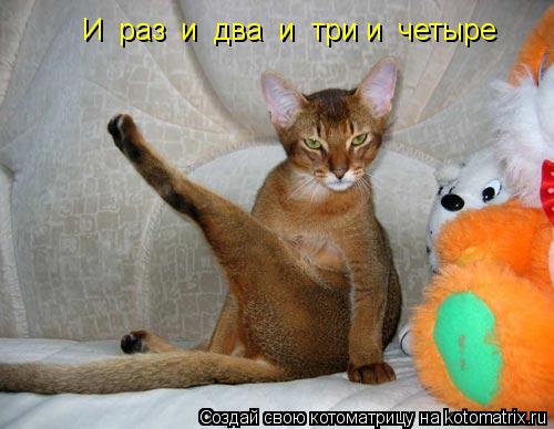 И раз и два и три и четыре... Котоматрица: И раз и два и три и четыре