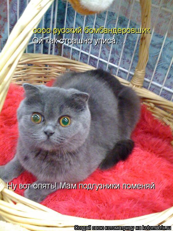 Ой как страшно уписа.... Ну вот опять! Мам подгузники поменяй... Котоматрица: Ой как страшно уписа.... Ну вот опять! Мам подгузники поменяй