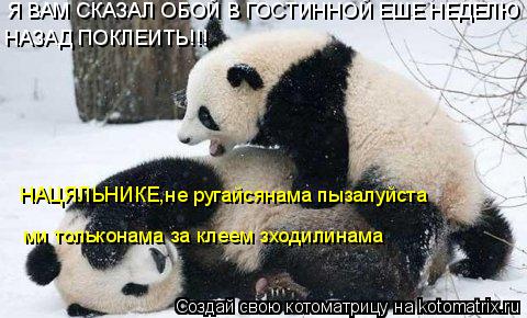 Я ВАМ СКАЗАЛ ОБОЙ В ГОСТИННОЙ ЕШЕ НЕДЕЛЮ НАЗАД ПОКЛЕИТЬ!!! НАЦЯЛЬНИКЕ,не ругайсянама пызалуйста ми то... Котоматрица: Я ВАМ СКАЗАЛ ОБОЙ В ГОСТИННОЙ ЕШЕ НЕДЕЛЮ НАЗАД ПОКЛЕИТЬ!!! НАЦЯЛЬНИКЕ,не ругайсянама пызалуйста ми тольконама за клеем зходилинама