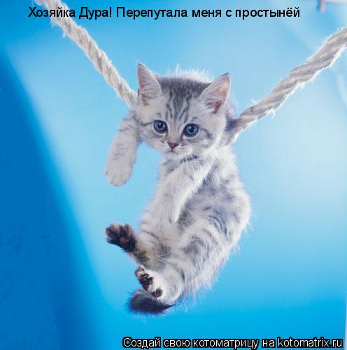 Хозяйка Дура! Перепутала меня с простынёй... Котоматрица: Хозяйка Дура! Перепутала меня с простынёй