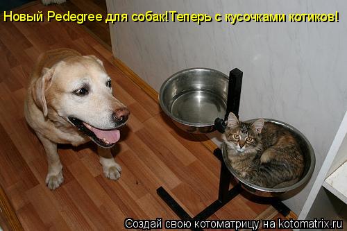 Новый Pedegree для собак!Теперь с кусочками котиков!... Котоматрица: Новый Pedegree для собак!Теперь с кусочками котиков!