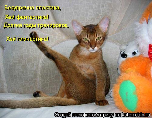 Безупречна пластика, Хей фантастика! Долгие годы тренировок, Хей гимнастика!... Котоматрица: Безупречна пластика, Хей фантастика! Долгие годы тренировок, Хей гимнастика!