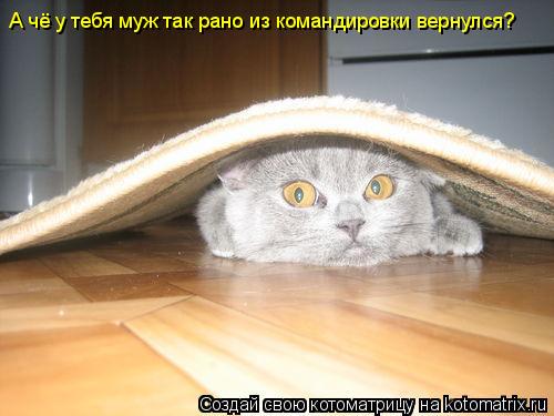 А чё у тебя муж так рано из командировки вернулся?... Котоматрица: А чё у тебя муж так рано из командировки вернулся?