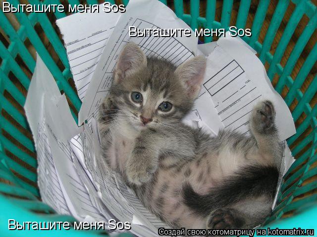 Выташите меня Sos Выташите меня Sos Выташите меня Sos... Котоматрица: Выташите меня Sos Выташите меня Sos Выташите меня Sos