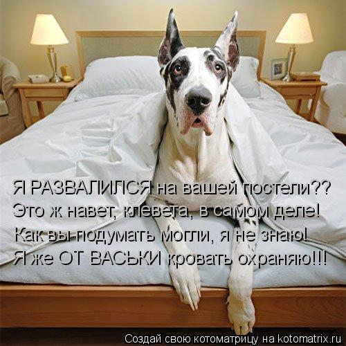 Я РАЗВАЛИЛСЯ на вашей постели?? Это ж навет, клевета, в самом деле! Как вы подумать могли, я не знаю!... Котоматрица: Я РАЗВАЛИЛСЯ на вашей постели?? Это ж навет, клевета, в самом деле! Как вы подумать могли, я не знаю! Я же ОТ ВАСЬКИ кровать охраняю!!!