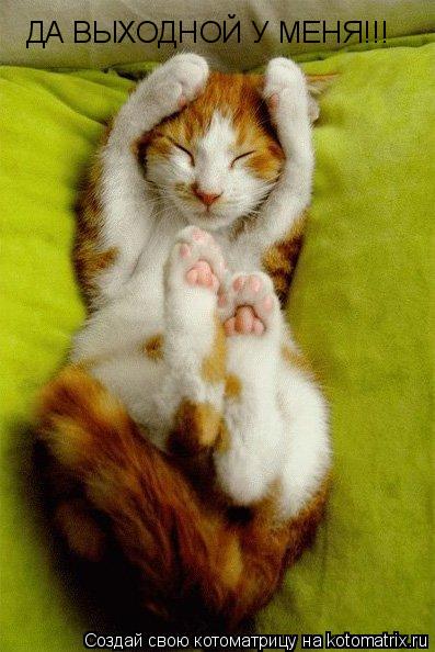ДА ВЫХОДНОЙ У МЕНЯ!!!... Котоматрица: ДА ВЫХОДНОЙ У МЕНЯ!!!