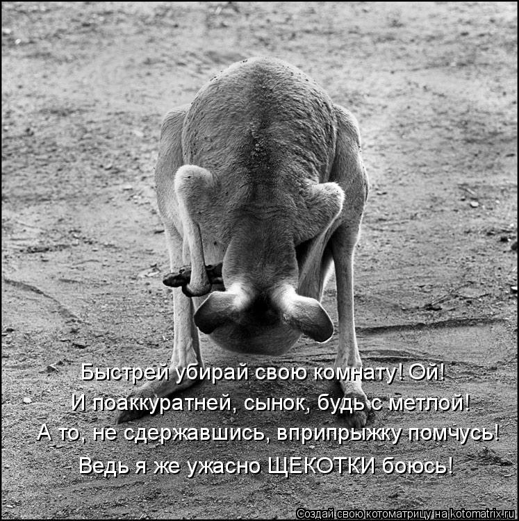 Котоматрица: Быстрей убирай свою комнату! Ой! И поаккуратней, сынок, будь с метлой! А то, не сдержавшись, вприпрыжку помчусь! Ведь я же ужасно ЩЕКОТКИ боюс