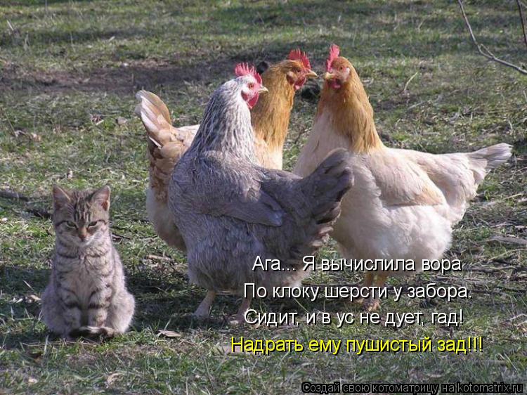 Ага... Я вычислила вора По клоку шерсти у забора. Сидит, и в ус не дует, гад! Надрать ему пушистый за... Котоматрица: Ага... Я вычислила вора По клоку шерсти у забора. Сидит, и в ус не дует, гад! Надрать ему пушистый зад!!!