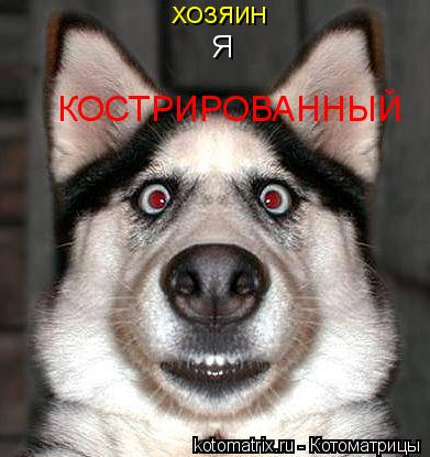 ХОЗЯИН Я КОСТРИРОВАННЫЙ... Котоматрица: ХОЗЯИН Я КОСТРИРОВАННЫЙ