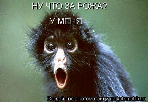НУ ЧТО ЗА РОЖА? У МЕНЯ... Котоматрица: НУ ЧТО ЗА РОЖА? У МЕНЯ