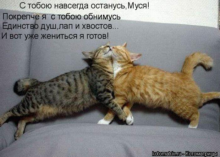C тобою навсегда останусь,Муся! Покрепче я с тобою обнимусь Единство душ,лап и хвостов... И вот уж... Котоматрица: C тобою навсегда останусь,Муся! Покрепче я с тобою обнимусь Единство душ,лап и хвостов... И вот уже жениться я готов! Покрепче я с тобою обни