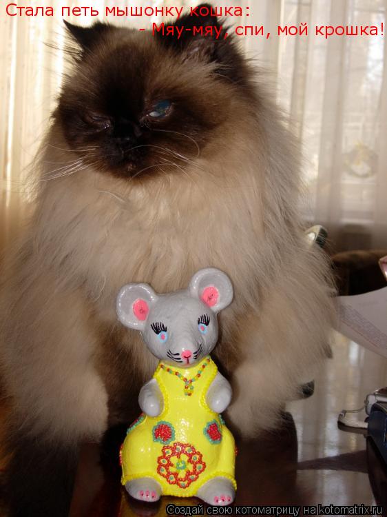 Стала петь мышонку кошка: - Мяу-мяу, спи, мой крошка!... Котоматрица: Стала петь мышонку кошка: - Мяу-мяу, спи, мой крошка!