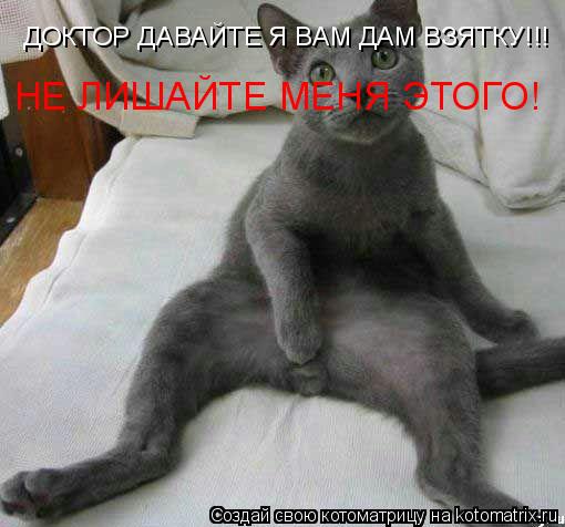 ДОКТОР ДАВАЙТЕ Я ВАМ ДАМ ВЗЯТКУ!!! НЕ ЛИШАЙТЕ МЕНЯ ЭТОГО!... Котоматрица: ДОКТОР ДАВАЙТЕ Я ВАМ ДАМ ВЗЯТКУ!!! НЕ ЛИШАЙТЕ МЕНЯ ЭТОГО!