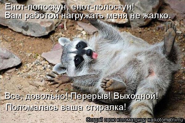 Енот-полоскун, енот-полоскун! Вам работой нагружать меня не жалко. Все, довольно! Перерыв! Выходной! ... Котоматрица: Енот-полоскун, енот-полоскун! Вам работой нагружать меня не жалко. Все, довольно! Перерыв! Выходной! Поломалась ваша стиралка!
