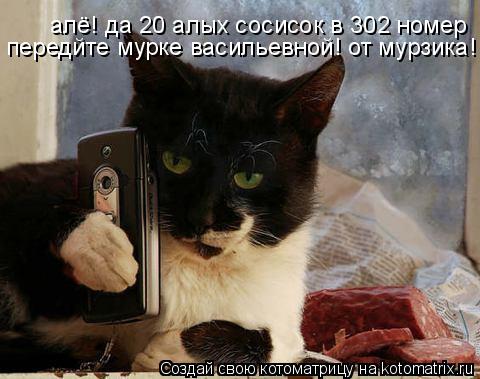 алё! да 20 алых сосисок в 302 номер передйте мурке васильевной! от мурзика!... Котоматрица: алё! да 20 алых сосисок в 302 номер передйте мурке васильевной! от мурзика!