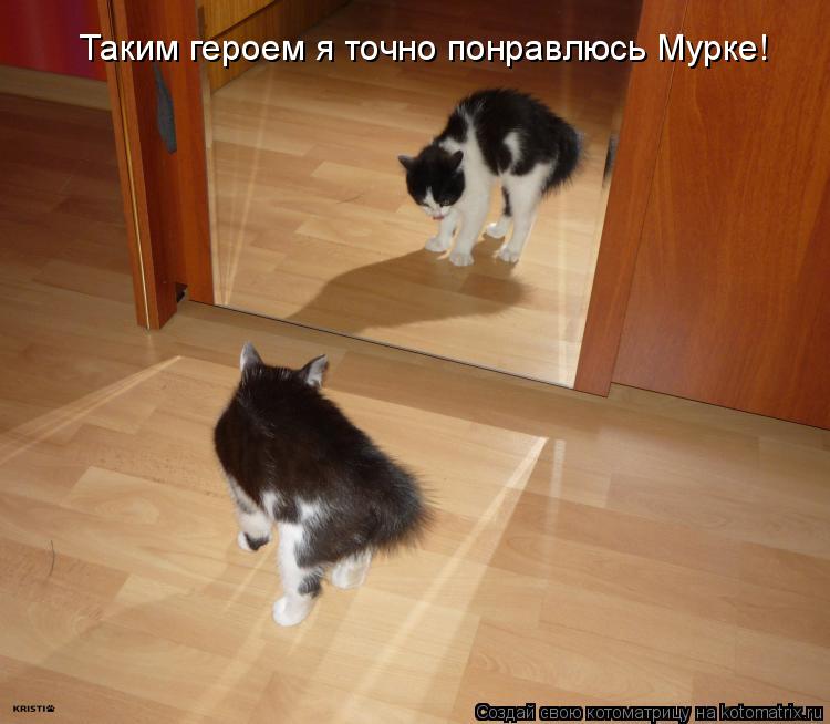 Таким героем я точно понравлюсь Мурке!... Котоматрица: Таким героем я точно понравлюсь Мурке!