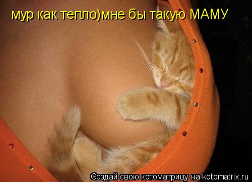 мур как тепло)мне бы такую МАМУ... Котоматрица: мур как тепло)мне бы такую МАМУ