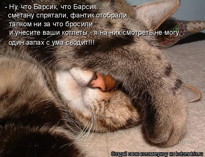 - Ну, что Барсик, что Барсик.... сметану спрятали, фантик отобрали тапком ни за что бросили и унесите... Котоматрица: - Ну, что Барсик, что Барсик.... сметану спрятали, фантик отобрали тапком ни за что бросили и унесите ваши котлеты - я на них смотреть не могу, о