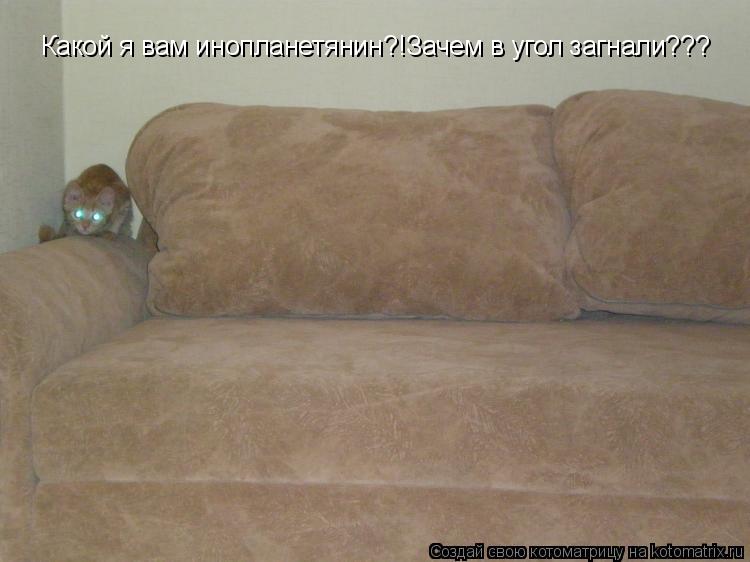 Какой я вам инопланетянин?!Зачем в угол загнали???... Котоматрица: Какой я вам инопланетянин?!Зачем в угол загнали???