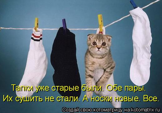 Тапки уже старые были. Обе пары. Их сушить не стали. А носки новые. Все.... Котоматрица: Тапки уже старые были. Обе пары. Их сушить не стали. А носки новые. Все.