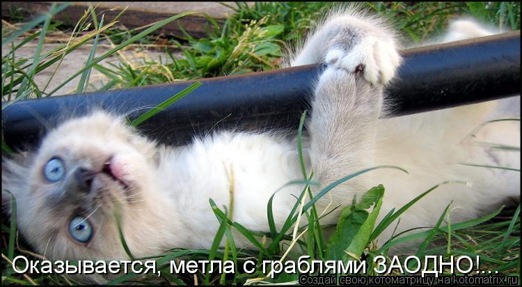 Оказывается, метла с граблями ЗАОДНО!...... Котоматрица: Оказывается, метла с граблями ЗАОДНО!...