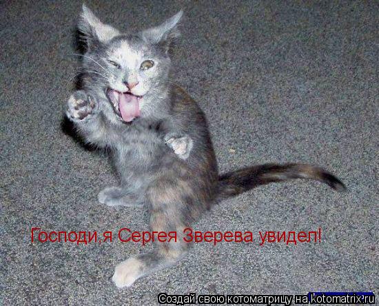 Господи,я Сергея Зверева увидел!... Котоматрица: Господи,я Сергея Зверева увидел!