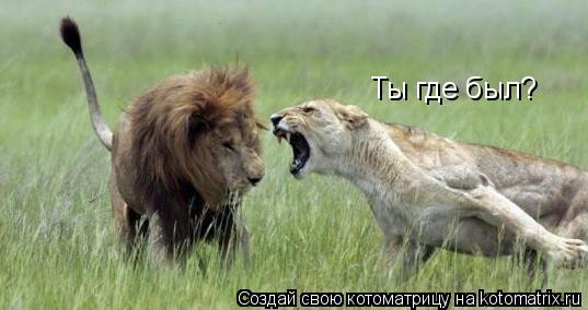Ты где был?... Котоматрица: Ты где был?