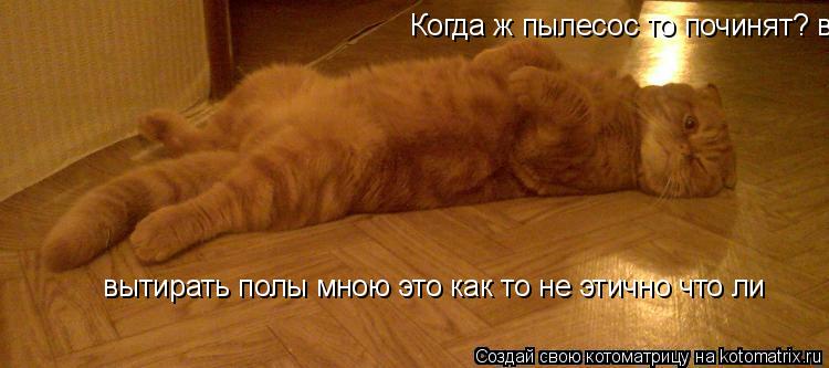 Когда ж пылесос то починят? вытирать полы мною это как то не этично что ли вытирать полы мною это ка... Котоматрица: Когда ж пылесос то починят? вытирать полы мною это как то не этично что ли вытирать полы мною это как то не этично что ли