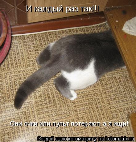 И каждый раз так!!! Они очки или пульт потеряют, а я ищи!... Котоматрица: И каждый раз так!!! Они очки или пульт потеряют, а я ищи!