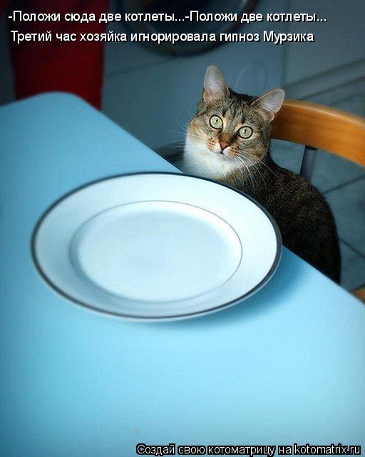 -Положи сюда две котлеты...-Положи две котлеты... Третий час хозяйка игнорировала гипноз Мурзика... Котоматрица: -Положи сюда две котлеты...-Положи две котлеты... Третий час хозяйка игнорировала гипноз Мурзика