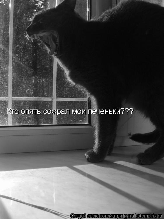 Кто опять сожрал мои печеньки???... Котоматрица: Кто опять сожрал мои печеньки???
