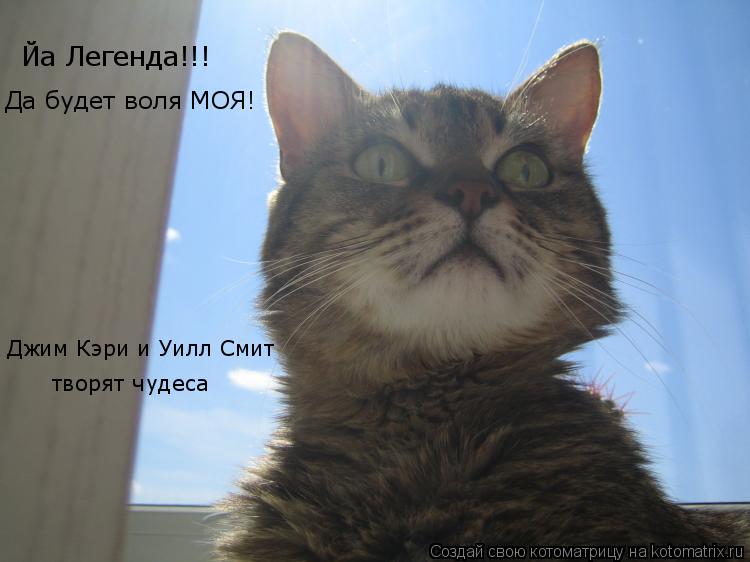 Йа Легенда!!! Да будет воля МОЯ! Джим Кэри и Уилл Смит творят чудеса... Котоматрица: Йа Легенда!!! Да будет воля МОЯ! Джим Кэри и Уилл Смит творят чудеса