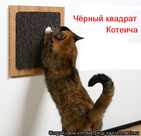 Чёрный квадрат Котеича... Котоматрица: Чёрный квадрат Котеича