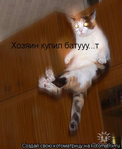 Хозяин купил батууу...т... Котоматрица: Хозяин купил батууу...т