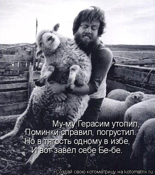 Котоматрица: Му-му Герасим утопил, Поминки справил, погрустил… Но в тягость одному в избе, И вот завёл себе Бе-бе.