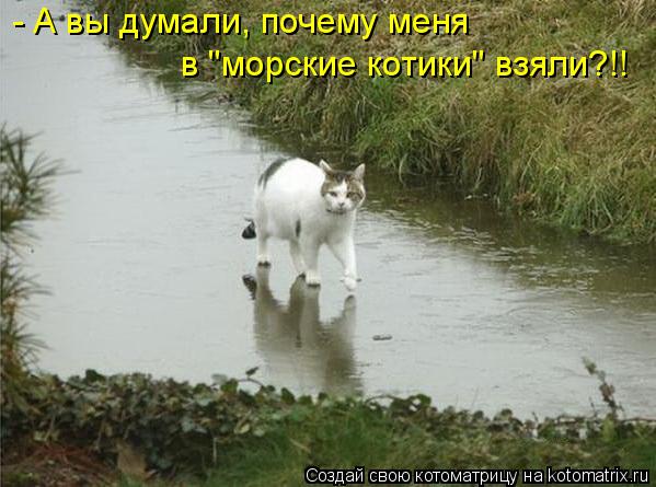 - А вы думали, почему меня в "морские котики" взяли?!!... Котоматрица: - А вы думали, почему меня в "морские котики" взяли?!!