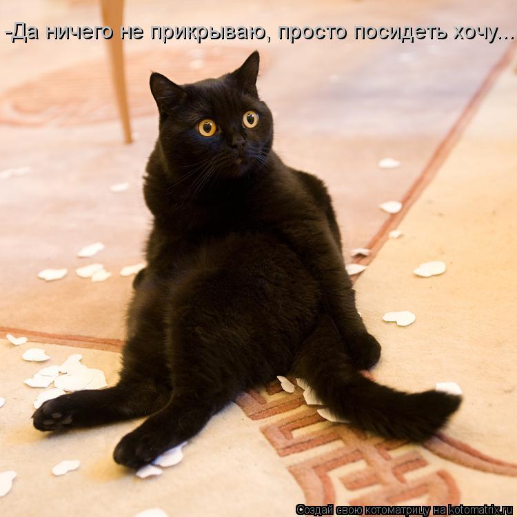 -Да ничего не прикрываю, просто посидеть хочу...... Котоматрица: -Да ничего не прикрываю, просто посидеть хочу...