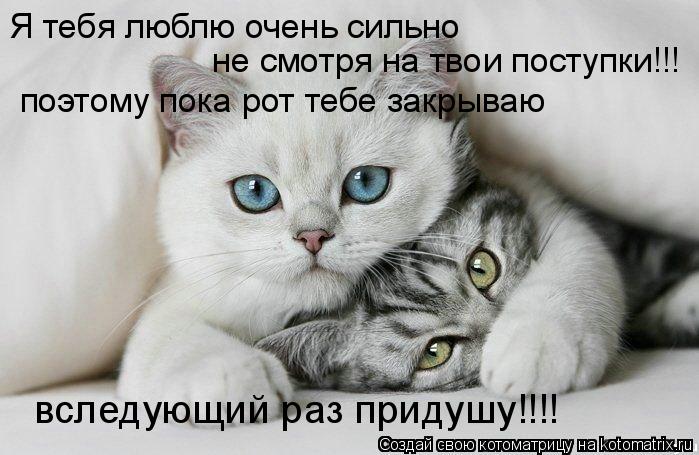 Я тебя люблю очень сильно не смотря на твои поступки!!! поэтому пока рот тебе закрываю вследующий раз... Котоматрица: Я тебя люблю очень сильно не смотря на твои поступки!!! поэтому пока рот тебе закрываю вследующий раз придушу!!!!