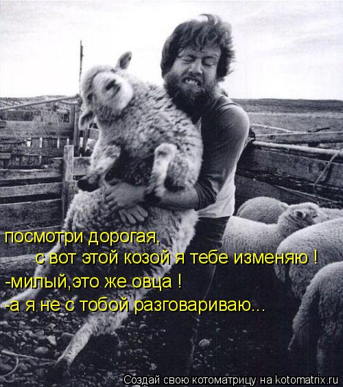 посмотри дорогая, с вот этой козой я тебе изменяю ! -милый,это же овца ! -а я не с тобой разговариваю... Котоматрица: посмотри дорогая, с вот этой козой я тебе изменяю ! -милый,это же овца ! -а я не с тобой разговариваю...