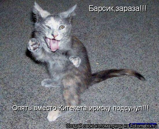 Барсик,зараза!!! Опять вместо Китекета ириску подсунул!!!... Котоматрица: Барсик,зараза!!! Опять вместо Китекета ириску подсунул!!!