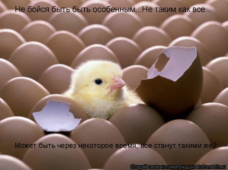 Не бойся быть быть особенным...Не таким как все... Может быть через некоторое время, все станут таким... Котоматрица: Не бойся быть быть особенным...Не таким как все... Может быть через некоторое время, все станут такими же?