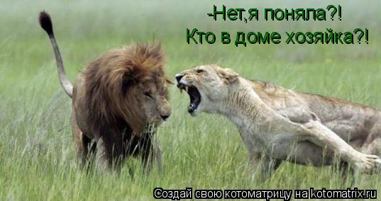 -Нет,я поняла?! Кто в доме хозяйка?!... Котоматрица: -Нет,я поняла?! Кто в доме хозяйка?!