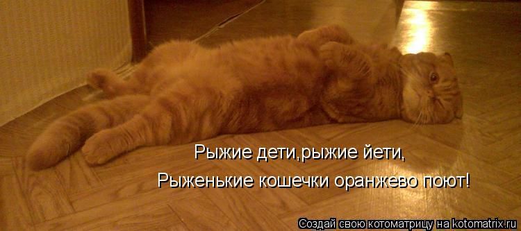 Рыжие дети,рыжие йети, Рыженькие кошечки оранжево поют!... Котоматрица: Рыжие дети,рыжие йети, Рыженькие кошечки оранжево поют!