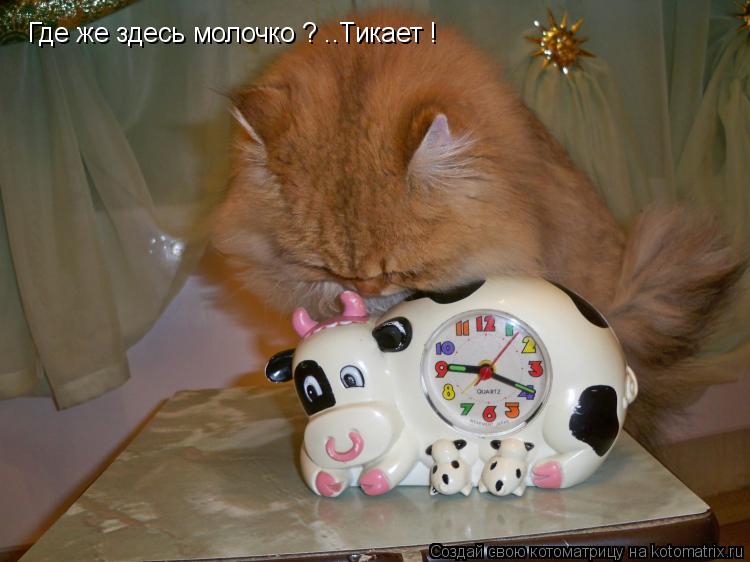 Где же здесь молочко ? ..Тикает !... Котоматрица: Где же здесь молочко ? ..Тикает !