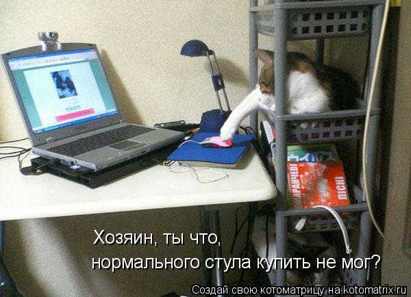 Хозяин, ты что, нормального стула купить не мог?... Котоматрица: Хозяин, ты что, нормального стула купить не мог?